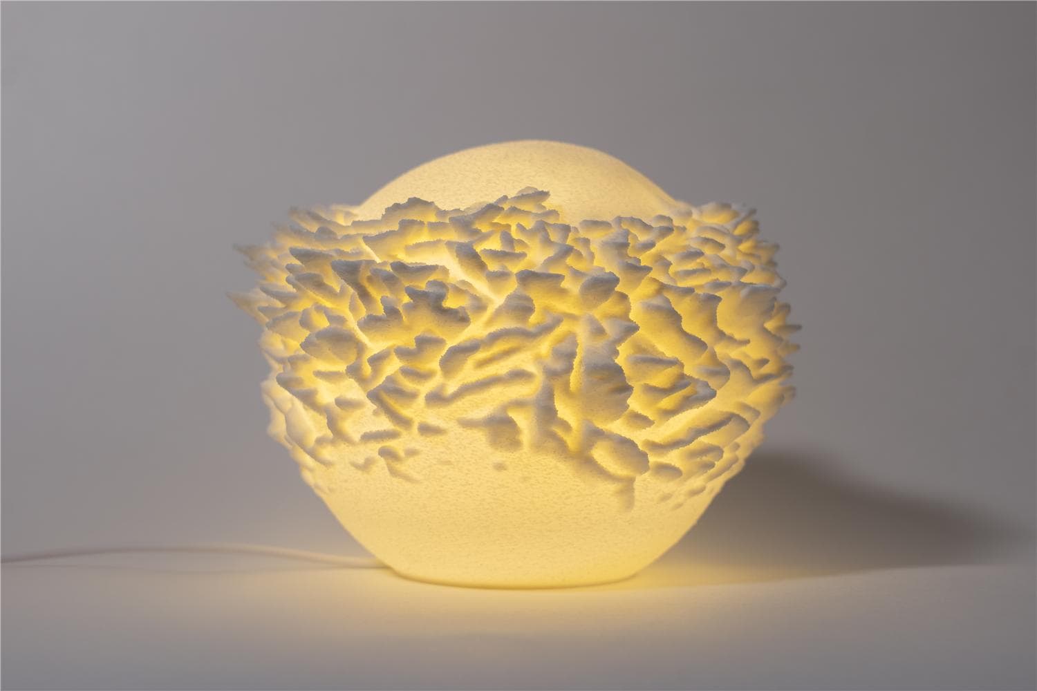 O14-S PLATE CORAL MINI LAMP