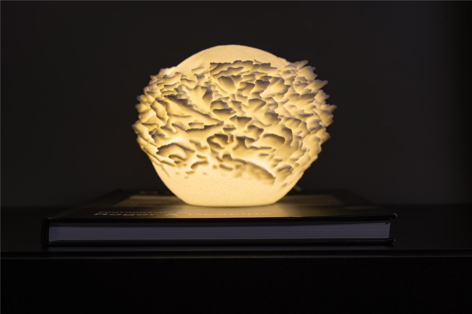 O14-S PLATE CORAL MINI LAMP - View 2