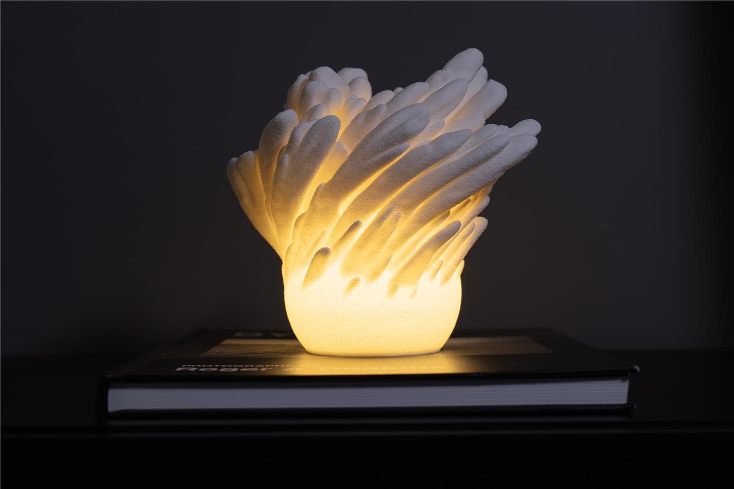 O16-S UNDERWATER BLOOM MINI LAMP - View 3